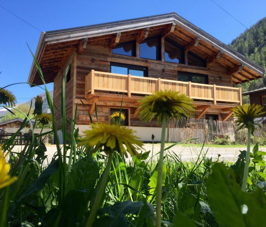 Chalet Le Petit Nicolas, Jacuzzi, Vue Mont Blanc Chamonix Exterior photo